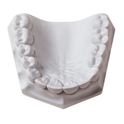 Orthodontic stone 22 kg blanc