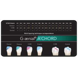 G-aenial A'chord teintier 12 échantillons