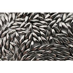 AutoFinish Media, conische pinnen 1/8" x 3/8", doos van 11,34 kg