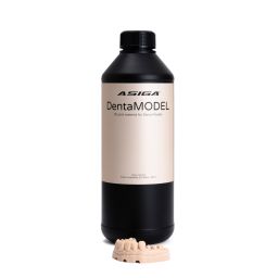 DentaMODEL 1 kg 