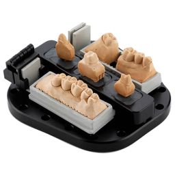 All-In Bar 
