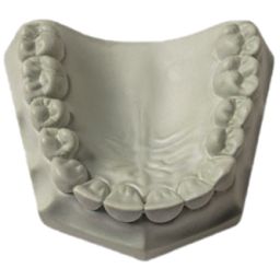 Jade Stone 15 kg vert 