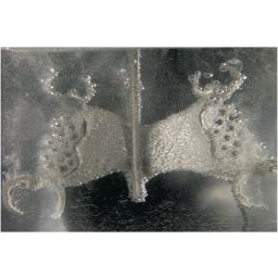 SheraDan liquide électrolytique 1 l 