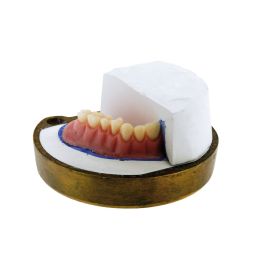 Regular poeder 500 g kleur 10