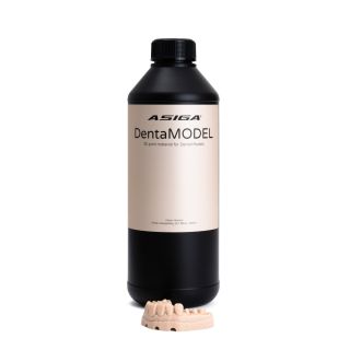 DentaMODEL 1 kg 
